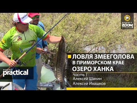 Видео: Ловля змееголова в Приморском крае. Озеро Ханка.  А. Шанин, А. Ивашков, Часть 1. Anglers Practical