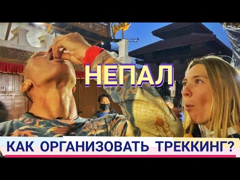 Видео: НЕПАЛ. КАТМАНДУ. КАК ОРГАНИЗОВАТЬ ТРЕК В ГОРЫ? ГДЕ СДЕЛАТЬ ПЕРМИТ? Мастер Рэм 2023 г.