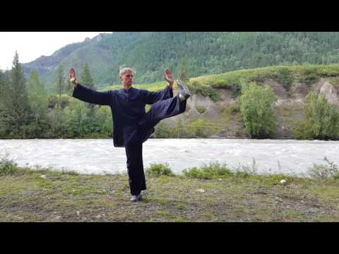 Видео: 8 forms Taijiquan. Front view. 8 форм тайцзицюань - вид спереди