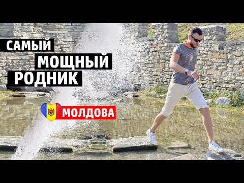 Видео: МОЛДОВА | 100 родников Котова. Самый большой источник воды, усадьбы и страусиная ферма