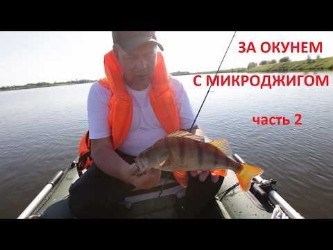 Видео: ЗА ОКУНЕМ С МИКРОДЖИГОМ 2 часть