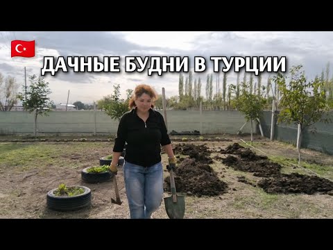 Видео: Жизнь на даче в Турции