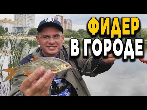 Видео: Фидер и Окунь. Как полосатые на Дядю Фёдора напали!