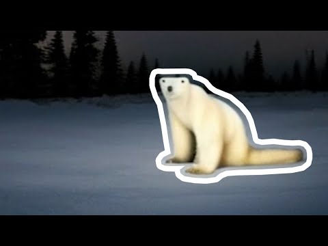 Видео: ЧТО ЗА МЕМ ИЗ 2026 ГОДА?