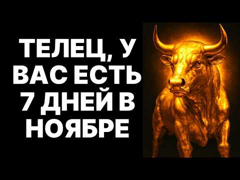 Видео: 🔴🐂ТЕЛЕЦ, СРОЧНО❗ ТОЛЬКО 7 ДНЕЙ! 😱В НОЯБРЕ 2025 К ВАМ ПРИДУТ ИЗ ПРОШЛОГО. 😲ЭТО БУДЕТ ДЛЯ ВАС ШОКОМ❗