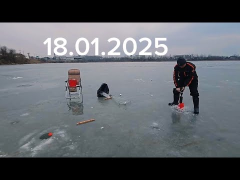 Видео: Фатальная ошибка! РЫБАЛКА НА ХАПУГУ! как не нужно рыбачить. #fishing #낚시