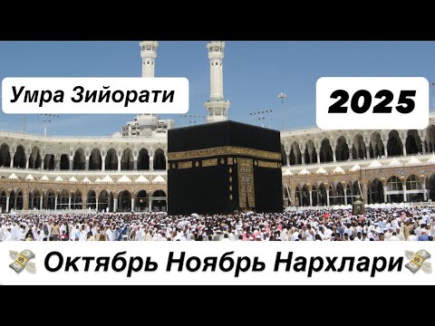Видео: 🕋 УМРА САФАРИ 💸 ОКТЯБР НОЯБРЬ Чегирмали Нархлар Centrum Holidays Томонидан Шошилиб Колинг