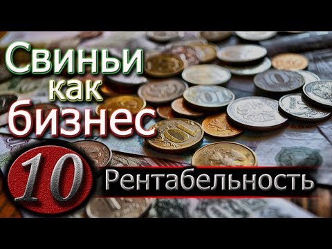 Видео: ВЫГОДНО ЛИ СВИНОВОДСТВО?