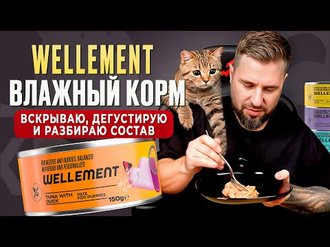 Видео: WELLEMENT влажный корм — вскрываю, дегустирую и разбираю состав! | Хвостатый Питомец