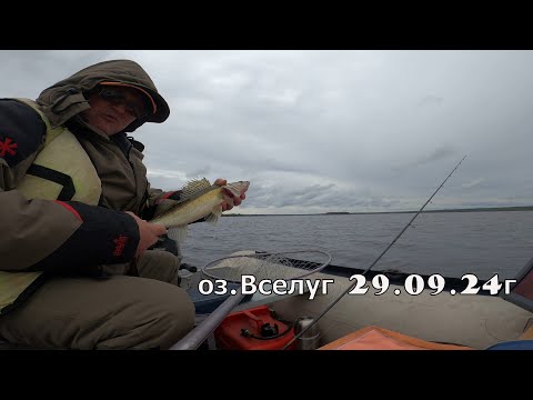 Видео: за Судаком на Вселуг 29 09 24г