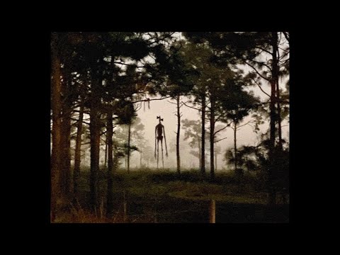 Видео: Играю с трёх головым (или сиреноголовым, я точно не знаю)