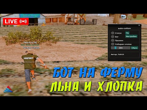 Видео: AUTO - COTTON V3 - БОТ НА ФЕРМУ ЛЬНА И ХЛОПОКА ДЛЯ ARIZONA RP / ФАРМИМ ДЕНЕЖКИ БОТОМ В GTA SAMP