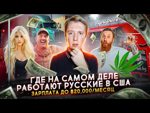 Видео: Где работают русские иммигранты в Америке