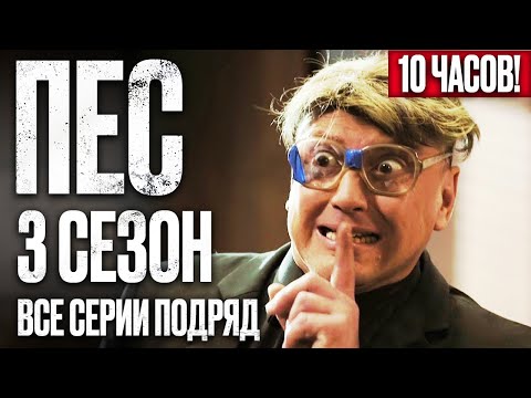 Видео: 🎬 Сериал ПЕС 3 сезон – Полный 3 СЕЗОН – ВСЕ СЕРИИ ПОДРЯД (1 – 12) | ПЕС 2023 – ЧАСТЬ 1