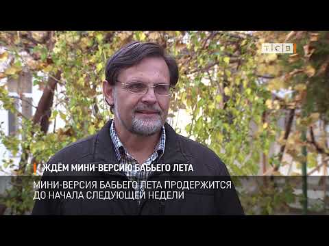 Видео: Ждём мини-версию бабьего лета