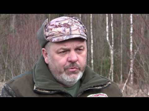 Видео: Охотничий Мастер-класс от А до Я. Построение шалаша при весенней охоте на тетеревином току