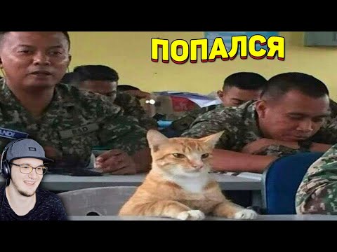 Видео: ЗАСМЕЯЛСЯ - ПРОИГРАЛ ► ЛУЧШИЕ ПРИКОЛЫ ( УЛЫБНУЛИСЬ ПРОИГРАЛИ СОЮЗ СМЕХА ) | Реакция