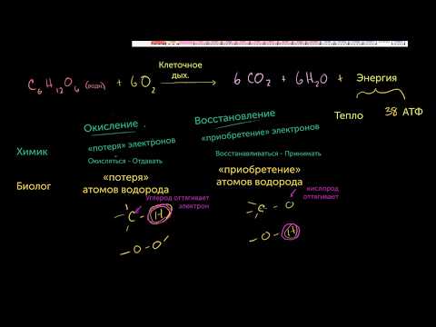Видео: Окисление и восстановление в клеточном дыхании (видео 3) | Клеточное дыхание | Биология