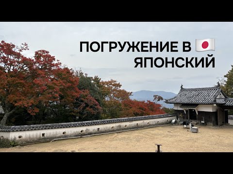 Видео: Мой опыт изучения японского. Путь длиною в 9 лет...