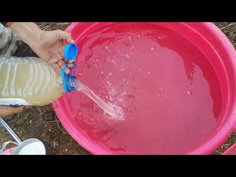 Видео: Кампост дайындау әдісі.