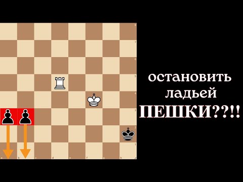 Видео: Как ладья может остановить две пешки? Шахматная загадка для настоящих гениев!