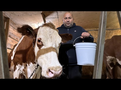 Видео: 100% Кефир, рецепт блюда из Кефира