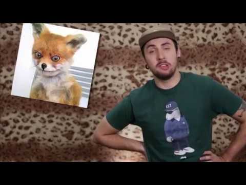 Видео: +100500 на ТВ - 151 выпуск