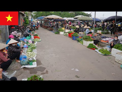 Видео: Вьетнамский деревенский рынок все еще жив! Утро на рынке Ганг – Бакзянг
