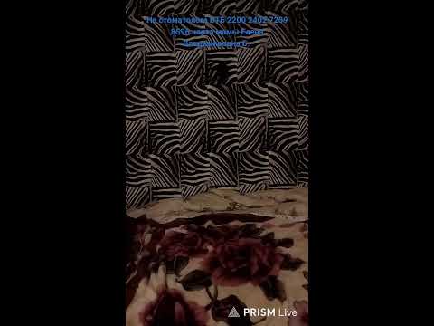 Видео: Прямая трансляция Яна_Mkbng