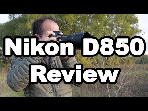 Видео: Обзор Nikon D850 для фотографов дикой природы, пейзажей и природы