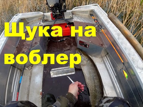 Видео: Топ воблеров на щуку начала лета