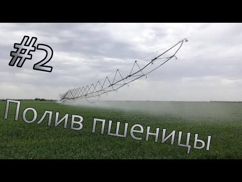 Видео: Полив пшеницы #2. ДДА 100. Сезон 2015
