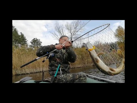 Видео: Ловля крупной щуки с ямы на крупный силикон из лодки. Как, на что  и где ловить трофейную щуку! 2021