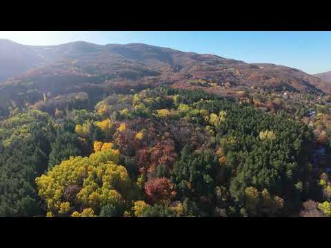 Видео: Прогулка по Витоше после шопинга — Витоша от Lidl