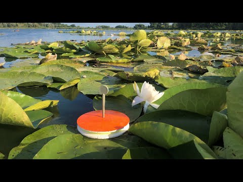 Видео: ПОТАЩИЛО КРУЖОК!!! ДУМАЛ САЗАН??! ОКАЗАЛОСЬ...РЫБАЛКА2021