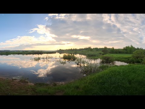 Видео: Весенняя рыбалка на реке Луга 2025.