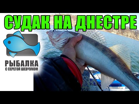 Видео: Днестр! Судак! с.Сокол