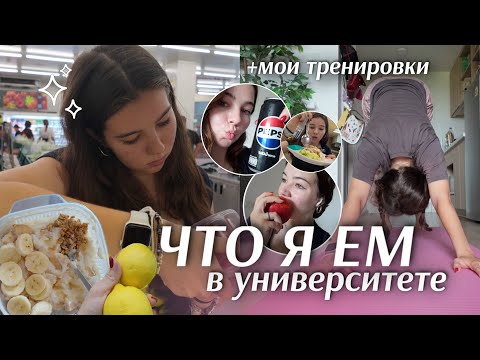 Видео: ЧТО Я ЕМ В УНИВЕРСИТЕТЕ *в Таиланде*🇹🇭🍜 мой холодильник, покупки и тренировки | what I eat in a day