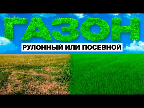 Видео: ГАЗОН рулонный или посевной? Какой Вам ВЫБРАТЬ.