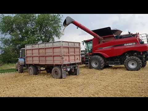 Видео: Уборка ячменя продолжается 2021!