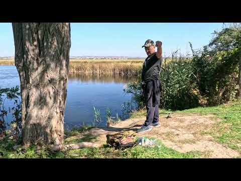 Видео: 22.09.Посиделки у реки. Купание в море. Анапа. 👍