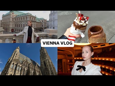 Видео: Влог из Вены🇦🇹: город, в который мы вернемся снова! 
