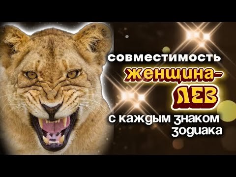 Видео: Женщина-Лев и любовь 💛 Совместимость со всеми знаками зодиака