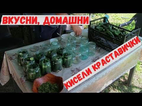 Видео: Как да си направим вкусни домашни кисели краставички.