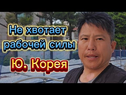 Видео: Сейчас работы много в Корее. Кто хочет заработать приезжайте сейчас. #жизньвкорее #работавкорее