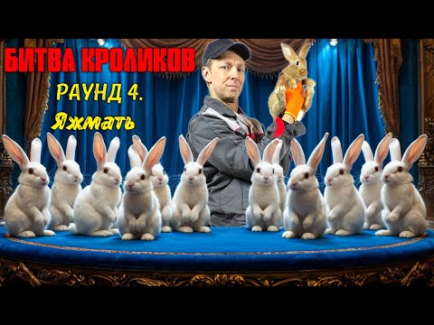 Видео: Битва кроликов. Раунд 4. Яжмать