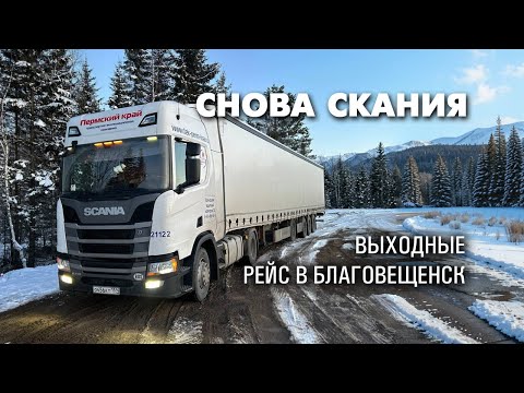 Видео: Снова Скания. Рейс на Дальний Восток. Дорожная романтика глазами дальнобойщика