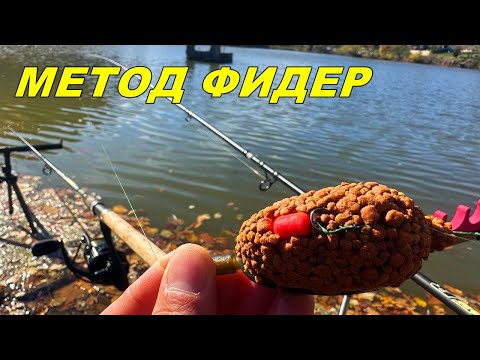 Видео: КАК да ЗАПОЧНЕМ РИБОЛОВА с МЕТОД ФИДЕР - ИНФОРМАЦИЯ за НАЧИНАЕЩИ РИБОЛОВЦИ - МОНТАЖИ и СЪВЕТИ