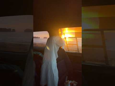 Видео: Рассвет в бухте Тихая, вылез с палатки и сел в машину 😂 #кемпинг #путешествия #сахалин #гедонизм