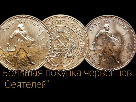 Видео: Большая покупка червонцев "Сеятелей" Цена и ликвидность таких монет.